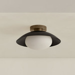 Brass Arundel Mushroom Outdoor Surface Mount - Patina Brass Canopy / Blackened Brass Shade