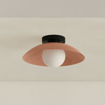 Arundel Orb Outdoor Surface Mount - Black Canopy / Peach Shade