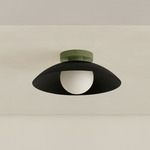 Arundel Orb Outdoor Surface Mount - Reed Green Canopy / Black Shade