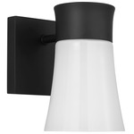 Roy Wall Sconce - Midnight Black / Milk