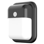 Patton Color-Select Outdoor Wall Light - Black / White