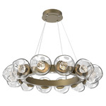 Luna Radial Ring Chandelier - Gilded Brass / Clear Floret