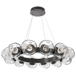 Luna Radial Ring Chandelier - Graphite / Clear Floret