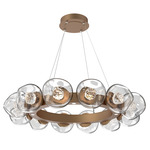 Luna Radial Ring Chandelier - Novel Brass / Clear Floret