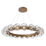 Luna Radial Ring Chandelier - Novel Brass / Clear Floret