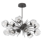 Luna Oval Starburst Chandelier - Graphite / Clear Floret