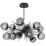 Luna Oval Starburst Chandelier - Matte Black / Smoke Floret