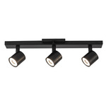 Arnold Color-Select Adjustable Ceiling Track Light - Black / Clear