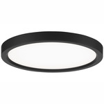 Vantage Ceiling Light - Overstock - Coal / White