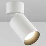 CY1 Cylinder Adjustable Ceiling Light - White Powdercoat / Black Baffle