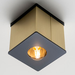 Tetra I Ceiling Flush Light - Brushed Brass / Black Poppy