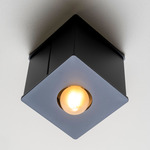 Tetra I Ceiling Flush Light - Black Poppy / Black Poppy