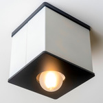 Tetra I Ceiling Flush Light - Country Cream / Black Poppy