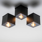 Tetra III Ceiling Light - Black Poppy / Black Poppy