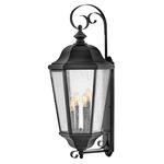 Edgewater 120V Outdoor Wall Lantern - Black / Clear Seedy