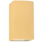 Rectangular Downlight Wall Sconce - Muted Yellow