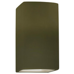 Ambiance 915 LED Up / Down Wall Sconce - Matte Green