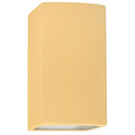 Ambiance 915 LED Up / Down Wall Sconce - Muted Yellow