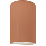 Ambiance Cylinder Downlight Wall Sconce - Adobe