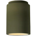 Radiance 6100 Outdoor Ceiling Light - Matte Green