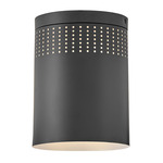 Casey Ceiling Light - Black