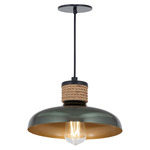 Bingham Pendant - Black / June Bug