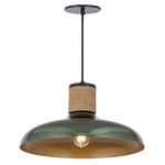 Bingham Pendant - Black / June Bug