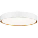 Kawan Ceiling Light - Matte White / Modern Gold / Frosted