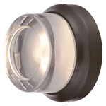 Comet Outdoor Wall / Ceiling Light - Overstock - Oil Rubbed Bronze / Clear