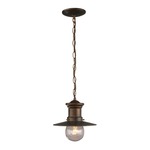 Maritime Outdoor Pendant - Clear Seeded/ Hazelnut Bronze