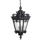 Tournai Outdoor Pendant - Black / Clear Seeded