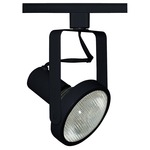 T368 PAR38 Open Back Track Fixture 120V - Black