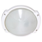 Oblong Round Outdoor Wall Sconce - Semi Gloss White / Frosted