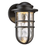 Steampunk Outdoor Wall Light - Bronze / Clear