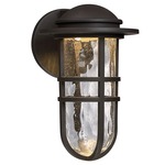 Steampunk Outdoor Wall Light - Bronze / Clear