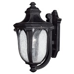 Trafalgar Outdoor Wall Light - Museum Black / Clear Seedy