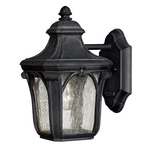 Trafalgar Outdoor Flat Base Wall Light - Museum Black / Clear Seedy