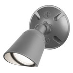 Endurance Outdoor 120V Wall / Ceiling Spot - Architectural Graphite