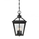 Ellijay Outdoor Pendant - Black / Clear