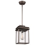 Glenview Outdoor Pendant - Antique Bronze / Clear