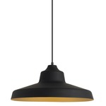 Zevo Pendant - Black