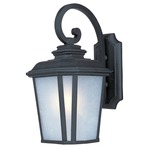 Radcliffe Outdoor Hanging Wall Light - Black Oxide / Weathered Frost