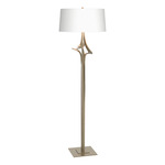 Antasia Floor Lamp - Soft Gold / Natural Anna