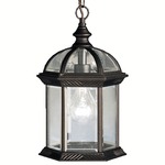 Barrie Outdoor Pendant - Black / Clear