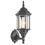 Chesapeake Outdoor Torch Wall Light - Black / Clear