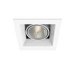 PAR20 Multiples Trim with Remodel Housing - White Trim / White Reflector