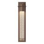 Airis Dark Sky Outdoor Wall Sconce - Coastal Bronze / Seeded Clear