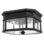 Cotswold Lane Outdoor Ceiling Light Fixture - Black / Clear Seeded