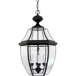 Newbury Outdoor Pendant - Mystic Black / Clear