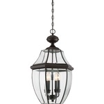 Newbury Outdoor Pendant - Medici Bronze / Clear